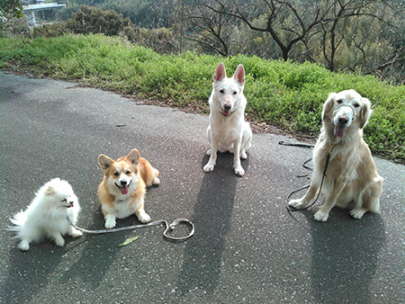 預かりトレーニング