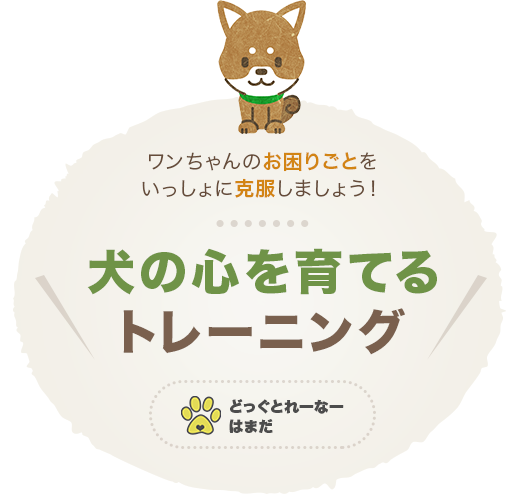 犬の心を育てるトレーニング
