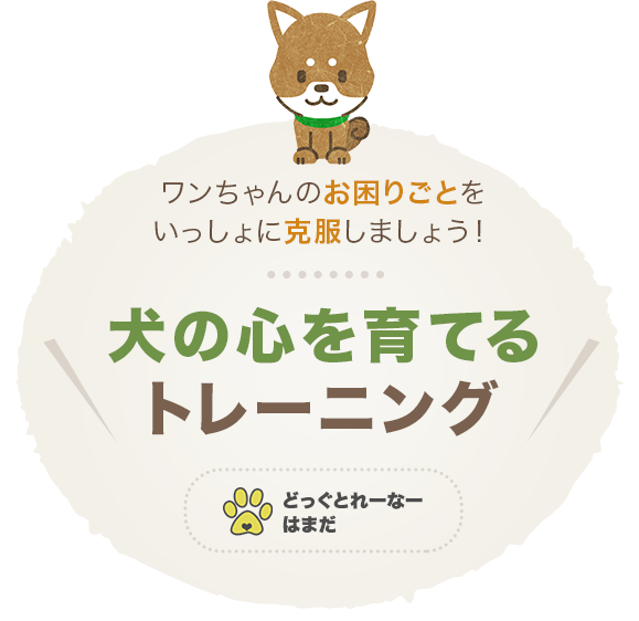 犬の心を育てるトレーニング
