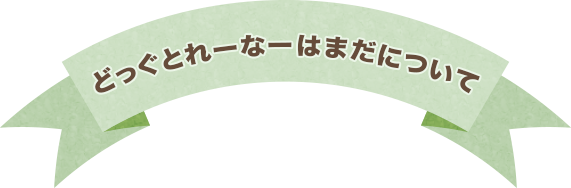 どっぐとれーなーはまだについて
